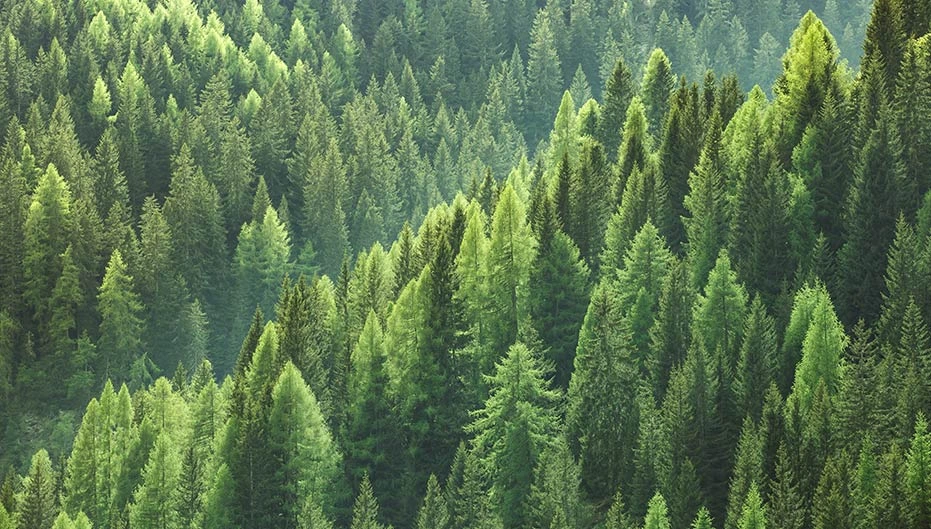 PERCHÉ SCEGLIERE UN APPROCCIO ECO-SOSTENIBILE